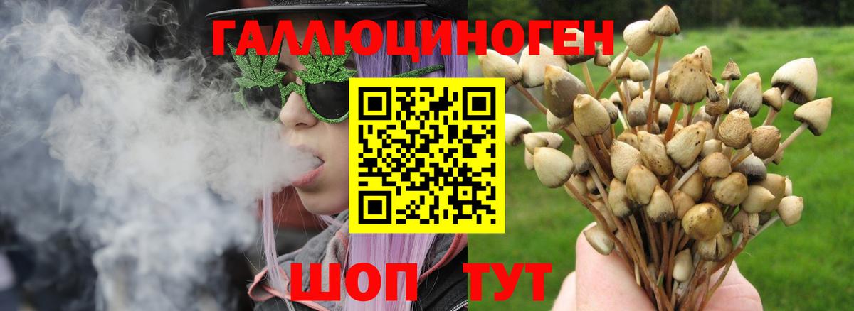 Скопин  Галлюциногенные грибы мицелий  Вход с VPN 